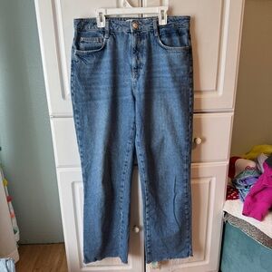 Zara Blue Jeans Medium Wash wide leg